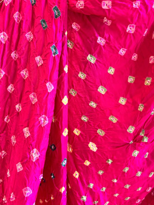 Bandhej Shibori with Zari Patta