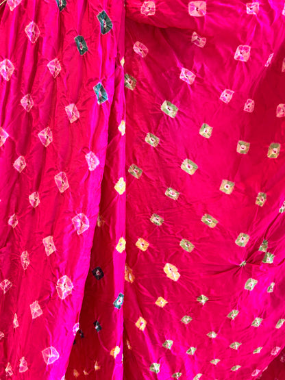 Bandhej Shibori with Zari Patta